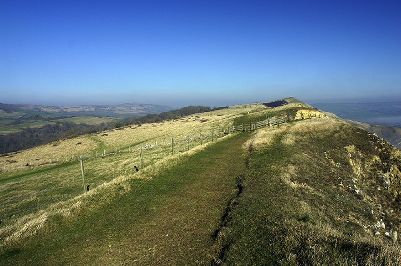 Dorset Coastal Path, Gad Cliff - geograph.org.uk - 79141.jpg
