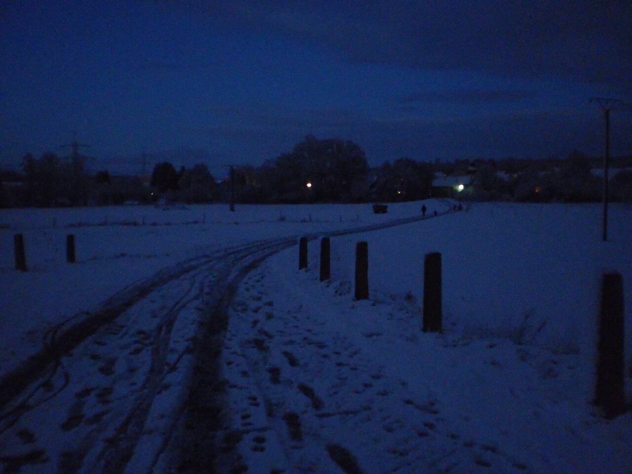 Fronhausen-Sichertshausen (Germany), first snow in November 2015-11-22 (12).JPG