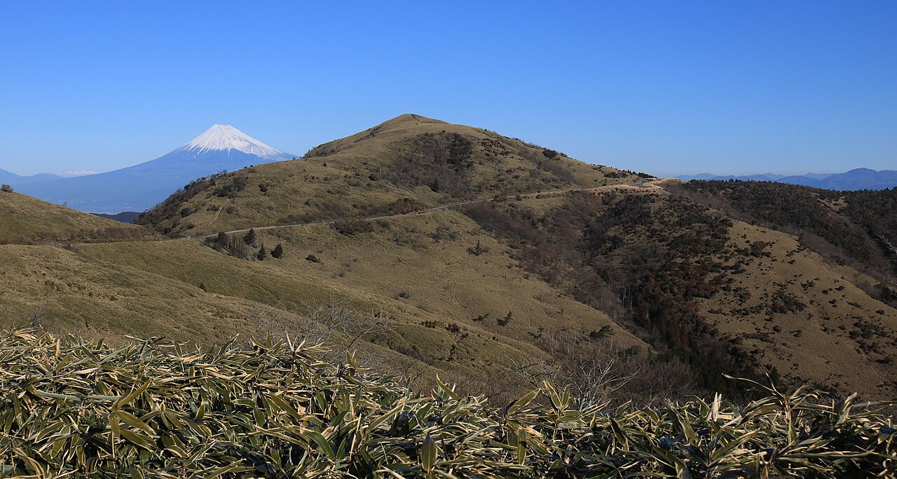 Mount Fuji and Mount Daruma from Nishiizu Skyline.jpg
